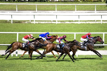 Horse Racingの写真素材