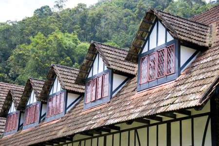 Colonial Tudor Style Mansionの写真素材