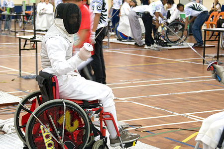 Wheel Chair Fencing