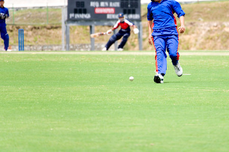 Cricket Game