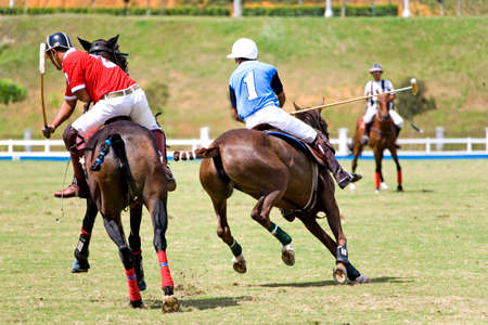 Poloの写真素材