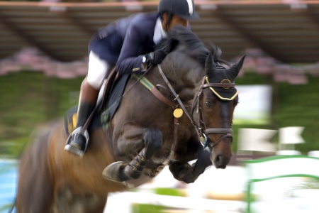 Image of an equestrian competitor in action with intentional blurring to portray speed.の写真素材