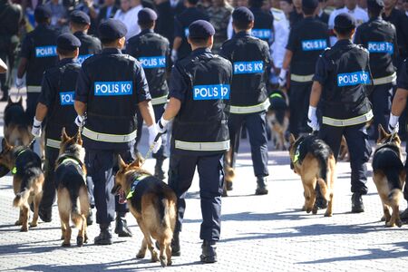Image of the police canine unit marching at a parade.の写真素材