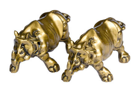 Isolated image of a pair Chinese Feng Shui geomancy brass rhinoceros.の写真素材