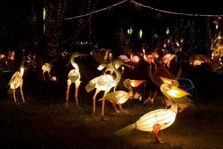 Image of lighted up bird lanterns in a park.の写真素材
