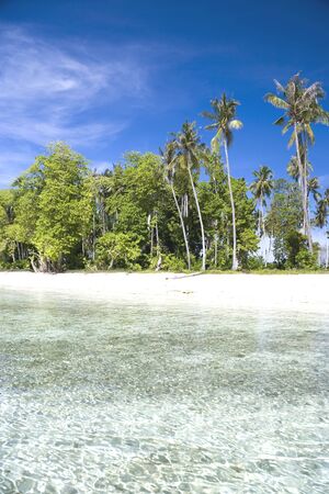Image of a remote Malaysian tropical island with deep blue skies, crystal clear waters and coconut trees.の写真素材