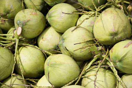 Image of green coconuts for sale.の写真素材