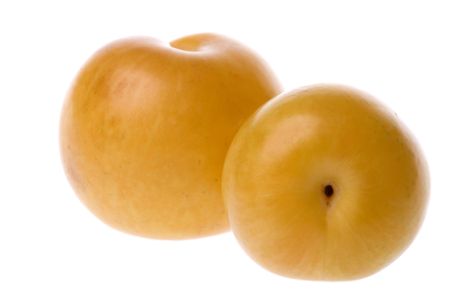 Isolated macro image of Iranian golden plums.の写真素材