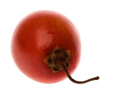 Isolated macro image of a tamarillo.の写真素材