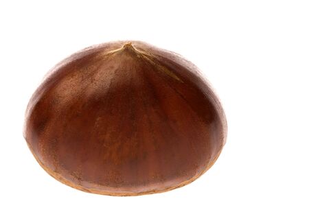 Isolated macro image of a raw chestnut.の写真素材