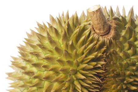 Macro image of the thorny exterior of a Durian.
