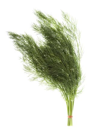 Isolated image of fresh Dill.の写真素材