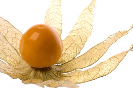 Isolated macro image of a cape gooseberry or physalis.の写真素材
