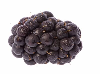 Isolated macro image of blackberries.の写真素材
