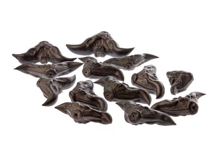 Isolated macro image of raw Trapa Bicornis Osbeck nuts or commonly known as Buffalo Horn nuts.の写真素材