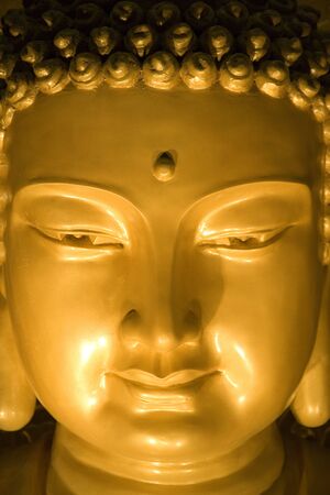 Night image of a Buddha statue.の写真素材