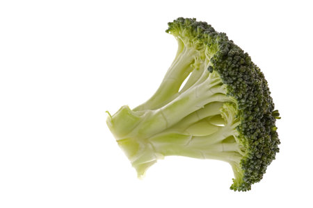 Isolated macro image of broccoli.