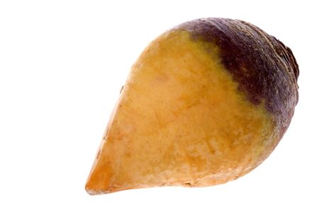 Isolated macro image of a Swede.の写真素材