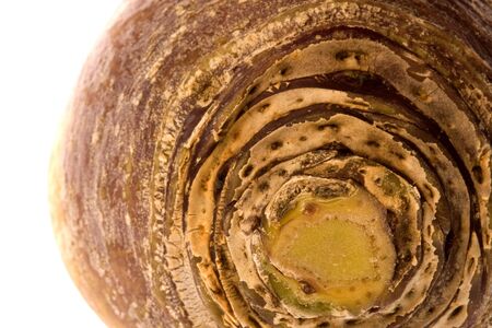 Isolated macro image of a Swede.の写真素材