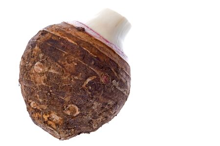 Isolated image of a yam.の写真素材