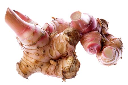 Isolated image of galangal wild ginger.の写真素材
