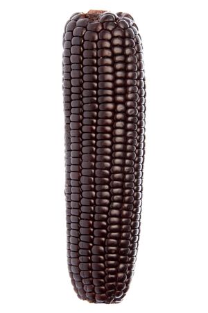 Isolated image of a black corn.の写真素材