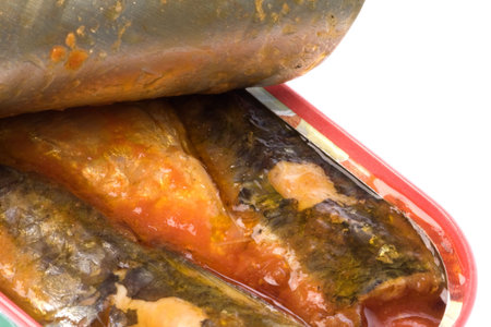 Isolated macro image of canned sardines in tomato sauce.の写真素材