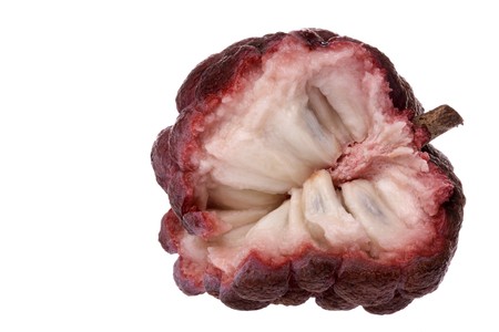 Isolated macro image of a custard apple.の写真素材