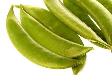 Isolated macro image of snow peas.の写真素材
