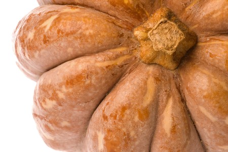 Isolated macro image of a pumpkin.の写真素材