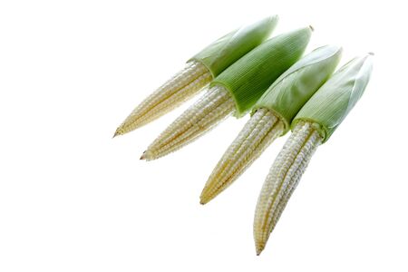 Isolated image of fresh baby corns.の写真素材