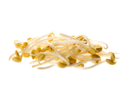 Isolated macro image of soya bean sprouts.の写真素材