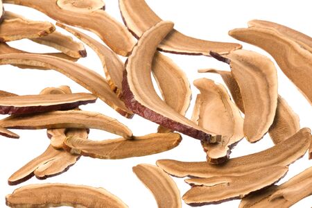 Isolated image of Dried Lingzhi Mushrooms.の写真素材