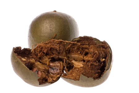 Isolated image of Buddha's Fruit also commonly known as Lo Han Kor.