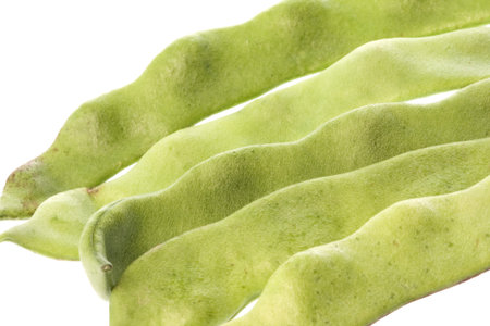 Isolated macro image of flat beans.