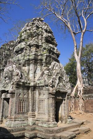 Image of UNESCO's World Heritage Site of Ta Prohm, located at Siem Reap, Cambodia. This is one of the temples in Siem Reap where the Hollywood movie Lara Croft Tomb Raider was filmed at.の写真素材