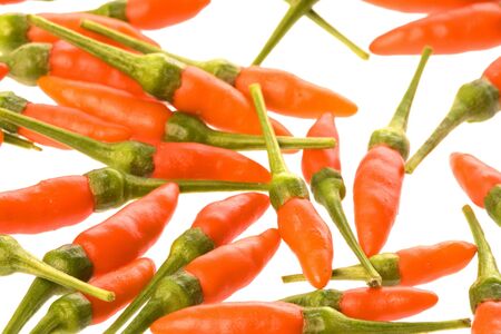 Isolated macro image of baby chillies.の写真素材