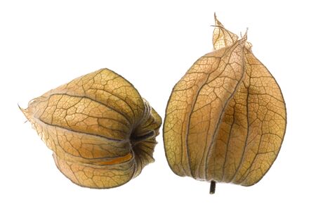 Isolated macro image of cape gooseberries or physalis.の写真素材
