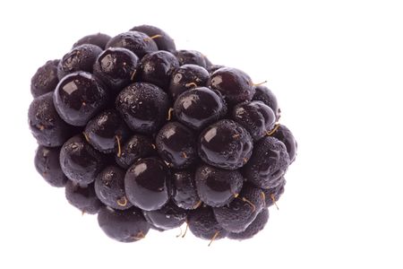 Isolated macro image of blackberries.の写真素材