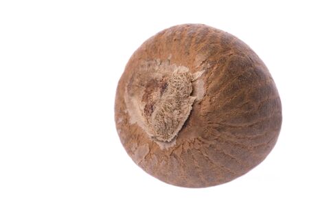 Isolated macro image of a betel nut.の写真素材