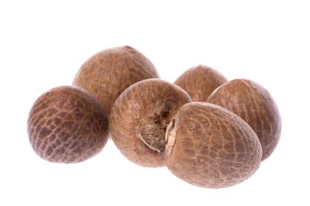 Isolated macro image of betel nuts.の写真素材