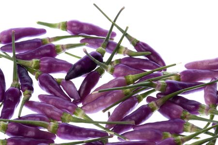 Isolated macro image of small purple chillies.の写真素材