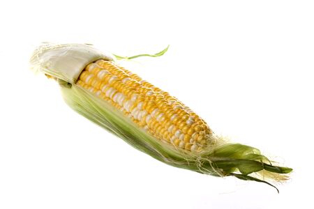 Isolated image of pearl corn against a completely white backgriound.の写真素材