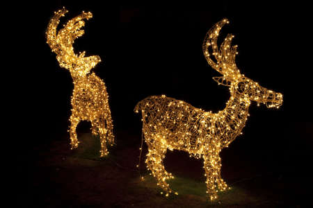 Image of Christmas decoration in the form of reindeers at night.の写真素材