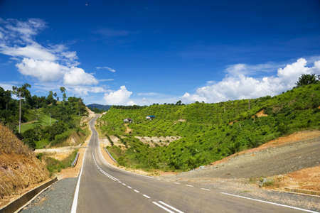Image of a new road through an oil palm estate at Tawau, Malaysia.の写真素材
