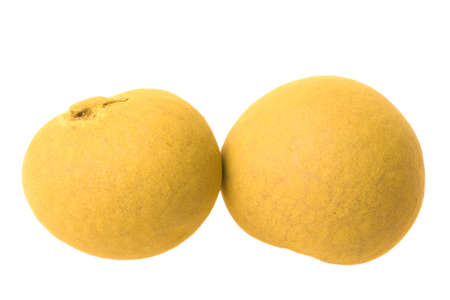 Isolated macro image of dried longans.の写真素材