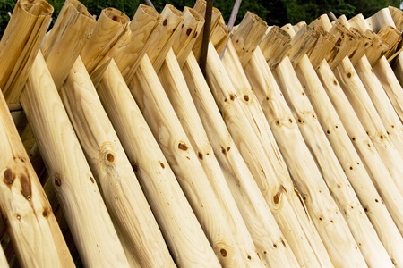 Image of drying tree barks for traditional Chinese paper making at Guilin, China.の写真素材