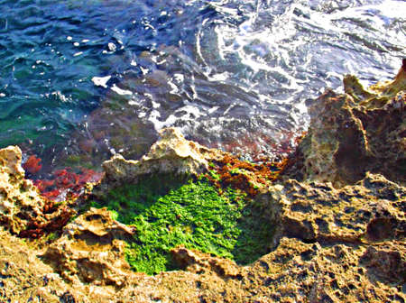 green spot on the shoreの写真素材