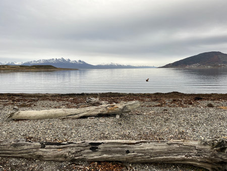 Ushuaia's calm, majestic mountains: Adventure in Patagonia's scenic Tierra del Fuegoの写真素材