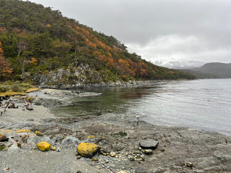 Ushuaia's majestic mountains and bay: Adventure in Patagonia's scenic Tierra del Fuegoの写真素材